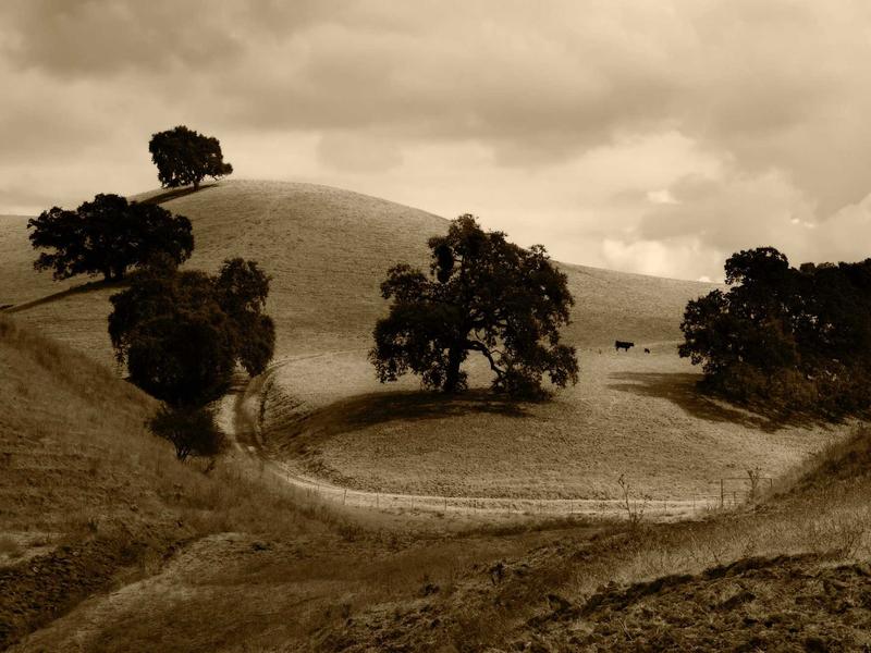 sudoku phone version screenshot 3